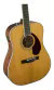 Guitarra Electroacustica Fender Paramount Pm-1 Con Fishman Dreadnought con Case