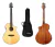 Guitarra Electrocustica Breedlove Dsc21ce + Funda Original