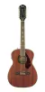 Guitarra Electroacustica Fender Tim Armstrong 12 Cuerdas Rwd