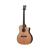 Guitarra Acustica Schecter Deluxe Acustic Tapa Spruce