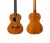Ukelele Cordoba Tenor Tapa Solida De Caoba Solida 20tm