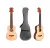 Guitarra De Viaje Guitalele Cordoba Mini M Caoba 6 Cuerdas