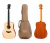 Guitarra Electroacustica Taylor Academy 10 Funda Tapa Maciza