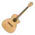 Guitarra Electro Acustica Fender Fa-345ce Auditorium Fishman en internet