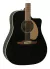 Guitarra Electro Acustica Fender Dreadnought Redondo Fishman