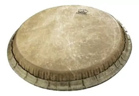 Parche Para Bongo Remo Encore Fiberskyn 8,50 M90850f4