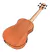 Bajo Acustico Cordoba Mini Ii Bass Mh-e Cuerpo Caoba