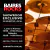 Palillos De Bateria Promark Tx5an Hickory 5 Apunta Nylon