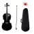 Violin Palatino PV-4/4 Estudiante 4/4 con Arco Estuche Resina - Negro