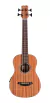 Bajo Acustico Cordoba Mini Ii Bass Mh-e Cuerpo Caoba