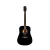 Guitarra Acústica Aston Reed Dreadnought con Funda - Negra - comprar online