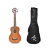 Bajo Ukelele Aston Reed AUB07L-EA Cuerdas Aquila Caoba Con Funda - comprar online