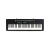 Teclado Organo Casio Ctk3500 Sensitivo De 5 Octavas