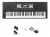 Combo Teclado Medeli M331 61 T Sensitivo + Fuente + Pedal Sustain