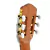 Imagen de Guitarra Electrocriolla Gracia Gg Cc Fishman Corte