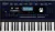 Teclado organo Roland Ex30 Arranger De 61 Teclas Azul - Baires Rocks - Instrumentos Musicales y Audio e Iluminación Profesional