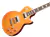 Guitarra Electrica Epiphone Eilpslashapnh3 Slash Les Paul Standard Ap - comprar online