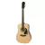 Guitarra Acustica Epiphone EA10NACH1 AC.DR-100 Dreadnought Natural
