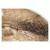 Platillo Paiste 900 CR-19 Crash 19" - comprar online