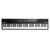 Piano digital Premium 88 Teclas Alesis Recital T/Semipesadas