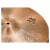 Platillo Paiste Black Big Beat Hi-Hat 16" 2002 BBBH-16 - Baires Rocks - Instrumentos Musicales y Audio e Iluminación Profesional