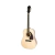 Guitarra Acustica EPIPHONE EA22NANH1 AC.AJ-220S Natural