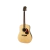 Guitarra Acustica Cort Serie Earth 100 Dreadnought Nantural Con funda