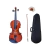 Violin Palatino PV De Medida 1/2 Con Estuche Semi Rigido Arco y Resina