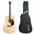 Guitarra Electroacustica Martin & Co Dx2e-02 Caoba Fishman MX