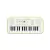 Teclado Infantil Casio Sa-50 32 Mini Teclas Casiotone