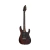 Guitarra Electrica Sgr By Schecter Banshee Floyd Rose