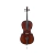 Violoncello 4/4 Stradella MC601244 Pino carved macizo funda