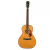 Guitarra Electroacustica Fender 097-0320-321 PS-220E Parlor Natural - comprar online