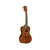 Ukelele Tamano Concierto Lanikai Ma-c De Caoba Con Funda - Baires Rocks - Instrumentos Musicales y Audio e Iluminación Profesional
