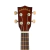 Ukelele Makala Concierto Pack. Mk-c/pack Caoba - tienda online
