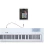 Piano Electrico Artesia de 88 Teclas Pesadas + Pedal Sustain - tienda online