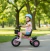 TRICICLO BABY ROSA en internet