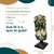 Busto Medusa 2 (D) - Resina - Grego na internet