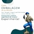 Marinheiro 2 (D) - Resina - Umbanda Candomble - loja online