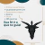 Cabeça Baphomet (P) 21 cm - Resina na internet