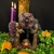 Incensário Cascata Seita Baphomet 17 cm - Resina