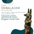 Deus Anúbis (D) 20 cm - Resina - Egípcio - loja online