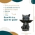 Baby Gato Vampiro - Wicca na internet