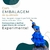 Cigana 3 (R) - Resina - Umbanda Candomble - loja online