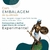 Oxaguiã 1 (D) - Resina - Umbanda Candomble - loja online
