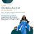 Iemanjá Onda (R) 26 cm - Resina - Umbanda Candomble - loja online