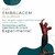 Cigano 3 (R) (V) - Resina - Umbanda Candomble - loja online