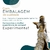 Cigana 15 cm - Resina - Umbanda Candomble - loja online
