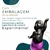 Erê Menina 4 (P) (R) - Resina - Umbanda Candomble - loja online