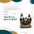 Cosme Damião e Odum - Gesso - Umbanda Candomble na internet